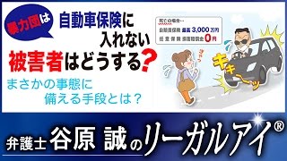 暴力団は自動車保険に入れない！被害者はどうする？ 【弁護士法律解説】 [upl. by Melisande51]