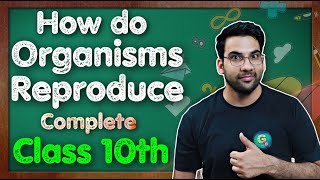 How Do Organisms Reproduce Reproduction Class 10 Science Chapter 7  Chapter 8  CBSE NCERT KVS [upl. by Eelhsa]