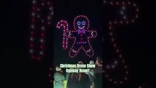 Drone Show Oglebay Resort Wheeling West Virginia christmas drone [upl. by Padget]