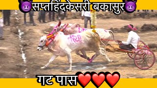 बकासुर गट पास  Bakasur bailgada sharyat bailgada sharyat live  p3 liveबकासुर bakasur [upl. by Gib]