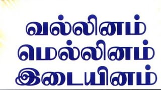 வல்லினம்மெல்லினம் இடையினம் எழுத்துக்கள்VallinamMellinamIdaiyinam eluthukkal [upl. by Corinna]