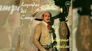 Antonio Aguilar  La Mancornadora Visualizador Oficial [upl. by Strohbehn307]