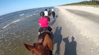 Horse riding on the beach in Leba Poland  GoPro HD Hero2 [upl. by Queen]