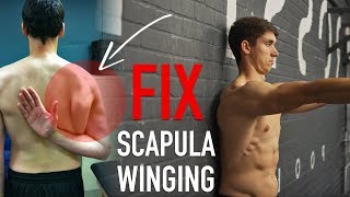 Fix Scapula Winging FULL ROUTINE [upl. by Ecargyram815]