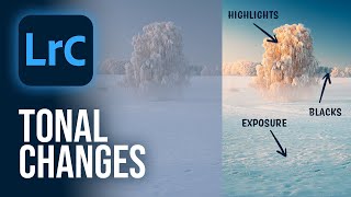 The Importance of TONAL ADJUSTMENTS Lightroom Classic Tutorial [upl. by Ahsetel]