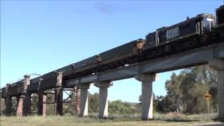 Cowra to Koorawatha Friskys Train 1 [upl. by Maitilde]