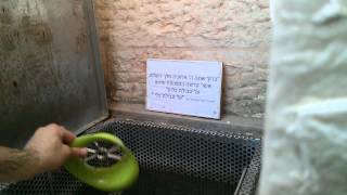 Mikvah Kelim [upl. by Ruthi]