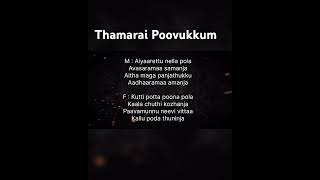 Thamarai Poovukkum Song Karaoke For Male Prabhu Sivaji vidyasagar sujatha krishnachandran [upl. by Jenifer330]