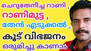 റാണിയും റാണി മുട്ടയും തേൻ എടുപ്പും പിന്നെ കൂട് വിഭജനവുംCHERUTHENEECHA VALARTHALCHERUTHENEECHA [upl. by Nnaasil]