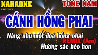 Karaoke Cánh Hồng Phai Remix Tone Nam Am  84 [upl. by Nylarahs]