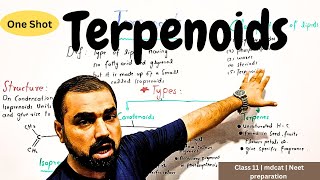 Terpenoids  one shot  Classification of lipid  in Urdu hindi medium [upl. by Ecirtnahs9]