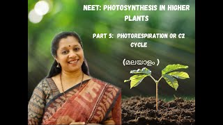 NEET Photosynthesis In Higher Plants Part5Malayalam PhotorespirationC2 cyclePCO cycle [upl. by Nylatsirhc]