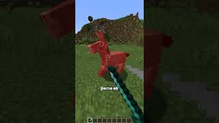 This Feature is Only In Minecraft POCKET EDITION [upl. by Hcnarb]