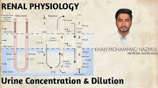 Urine Concentration amp Dilution  Countercurrent multiplication  Countercurrent exchange  বাংলা [upl. by Jonathon]