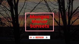 Mongos Manor Sunsets November 15 2025 [upl. by Ansilme]