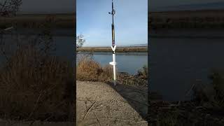 Alviso sturgeon fishing with Rock Fisher 12222 [upl. by Malina576]