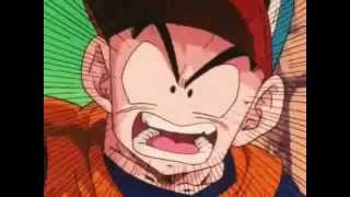 TFS Abridged Best of Krillin 2 [upl. by Bailar]