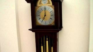 FHS WESTMINSTER CHIME LONGCASE GRANDMOTHER CLOCK [upl. by Sandberg]