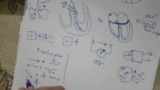 formation ECG  5notion de base part 4 [upl. by Odlonra]