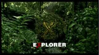 Viasat Explorer HD  Continuity March 2013 [upl. by Akerley574]