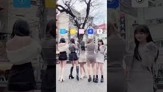 どこだか分かる？ 千利休 踊ってみた tiktok トゥラブ [upl. by Feldstein]