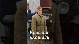 Солдатик на посту Красная площадь ноябрь 2024 shorts [upl. by Dnomder]