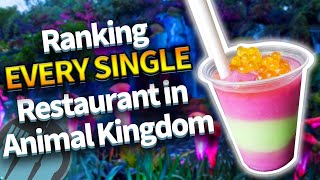 Ranking EVERY SINGLE Restaurant in Disneys Animal Kingdom [upl. by Ayikat]