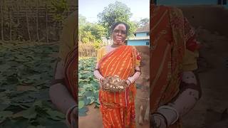 Elephant foot yam recipe plz support koro 🙏🙏shortsfeed cooking recipe viralvideo [upl. by Anitnemelc683]