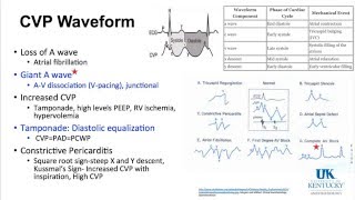 20160122 High Yield Cardiac Keywords Part 2 [upl. by Dnartreb]