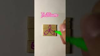 Trillium kryptontesla howtodraw drawingtutorials viralvideoshorts flowers [upl. by Nelie607]