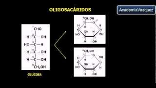 Oligosacáridos [upl. by Fleischer]