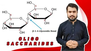 oligo saccharides in hindi  ring structures  biochemistry [upl. by Iridissa]