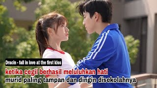 FALL IN LOVE AT FIRST KISS  ALUR CERITA  DRAMA CHINA [upl. by Amaryl]