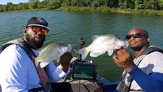 How WE Catch HOT Summer Crappie In August Jigs AND Minnows [upl. by Ahsok]