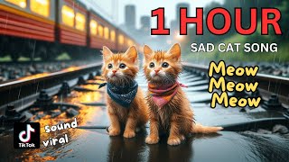 Meow Meow Meow Sad Song 1 Hour Compilation cat cute catlover cutecat aicat meow [upl. by Kisung450]