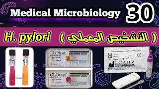 Helicobacter pylori H pylori شرح التشخيص المعملي لجرثومه المعده [upl. by Sotsirhc]