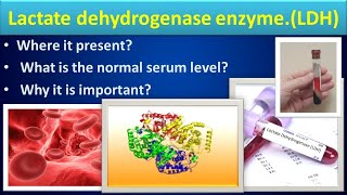 Lactate Dehydrogenase biochemistry LDHmedilabacademyCBC [upl. by Ronel311]