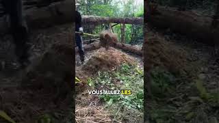 🔥 Compost à Chaud  Accélérez Votre Compostage  shorts jardinage potager jardin [upl. by Rimahs]