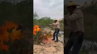 How Cactus Becomes Food for Cattle in the Desert cactus desert telugufacts shorts telugunews [upl. by Acinonrev102]