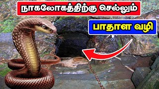 நாகலோகம் செல்லும் வழி கண்டுபிடிக்கப்பட்டது  NaagLok Patal Bhuvaneshwar Tamil  Vinotha Unmaigal [upl. by Wolfram]