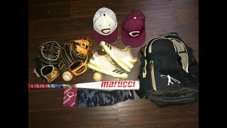 Whats In My Baseball Bag 20182019 [upl. by Rycca900]