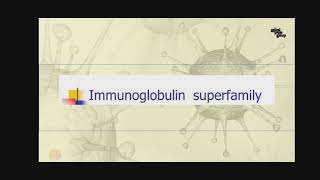 immunoglobulin superfamily Micro L4 [upl. by Hamehseer]