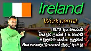 අයර්ලන්තයේ රැකියා වීසා අඩුම වියදමකින්  Ireland Critical Skills work visa 2024  No IELTS  Sinhala [upl. by Ahsaret]