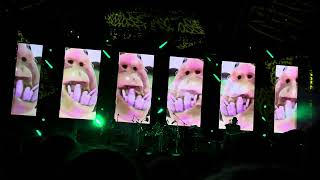 Frizzle Fry  Primus Live at The Marymoor Park in Redmond WA 7182024 [upl. by Anertak]