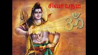 saiva siddhandhamதிருக்களிற்றுபடியார் 46சசௌரிராசன்அவர்கள் [upl. by Dove]