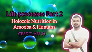 life processes  HOLOZOIC NUTRITION IN AMOEBA AND MAN DIGESTIVE SYSTEM INTRODUCTION [upl. by Priest]