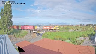 Timaru Trains 20241101 [upl. by Tamar]