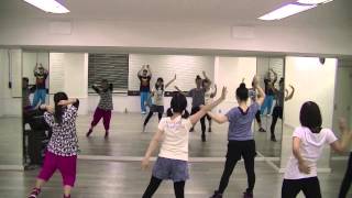 少女時代SNSD  PAPARAZZI DANCE LESSON日曜日梅田2030クラス [upl. by Ijies]