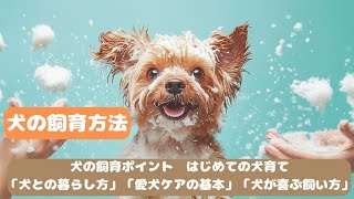 犬の飼育方法の紹介 [upl. by Ahsenik856]