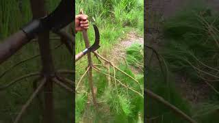 Tree Cutting shorts satisfying youtubeshorts farming agriculture [upl. by Iharas]